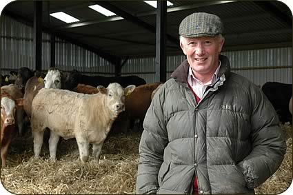 Roland Telford with his crossbred Blonde calves