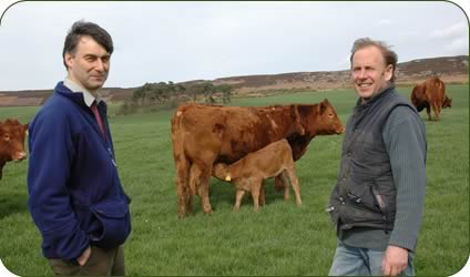 Lilburn Estates' farm manager Ray Field, left, with farm steward David Heads who is responsible for the Stabiliser heifers.