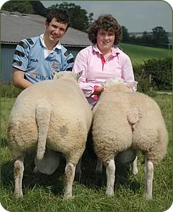 Will and Rachel Gittoes with pedigree Beltex show rams.