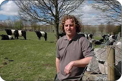 Neil Heseltine and Belted Galloway in calf heifers due to calve in September.