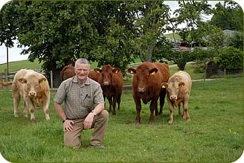 John Gibb and daughter Catriona with heifers, some of which are destined for the October Perth sale. 