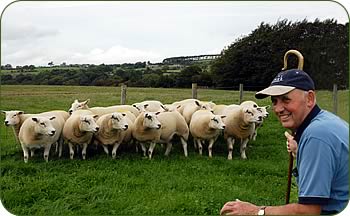 Alan Walker and his flock
