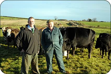Richard, left, and Drew Bell with suckler cows at Hazon House.