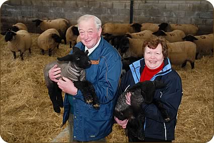 Michael and Anne Walton of Roseden, Wooler along with their pedigree Suffolk ewes and January born lambs.