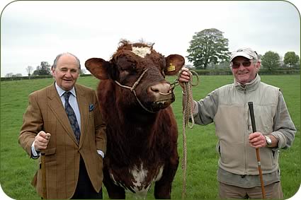 Michael Abrahams, left, and farm manager Ray Sanderson, with stock bull Cairnsmore Thrasher.
