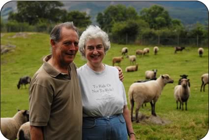 Nick and Jo Kemp with Shetland sheep