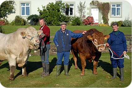 David Stobart, centre, with bulls Stobarts Ben, held by Geoff Scott and Cracrop Banjo, held by Mary Thompson.