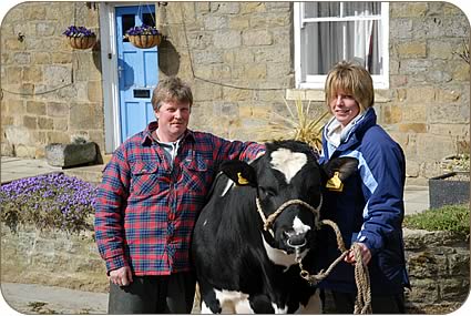 Malcolm and Helen on their own and with their bull for Carlisle, called Buggerlugs 