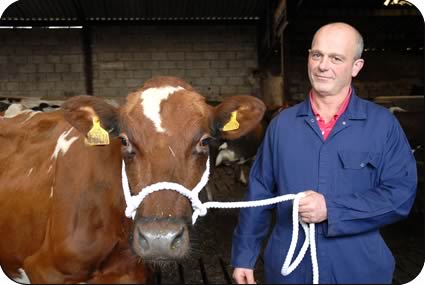 David Galbraith with show cow Sunny Bank Finery.