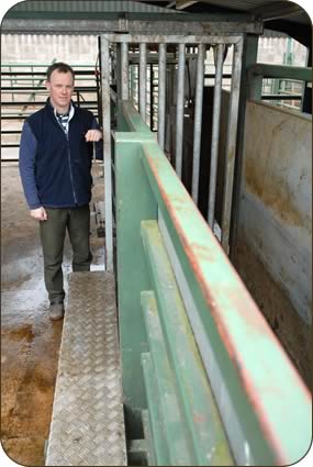 Robert at the crush which is incorporated into the cattle handling facility made on the farm