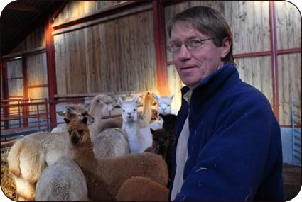 Brian Raine and alpacas