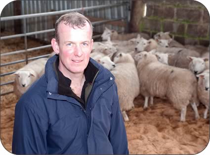 David Ashbridge with his replacement ewe hoggs